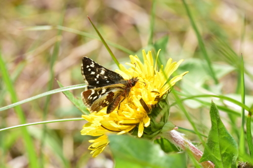 f0348480_08012008.jpg