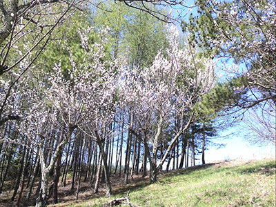 b0003483_958977.jpg