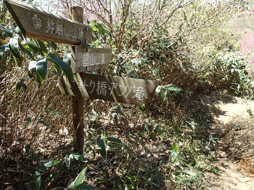 d0326888_01217.jpg