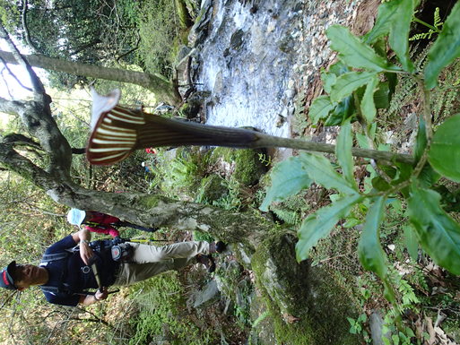 d0326888_016010.jpg