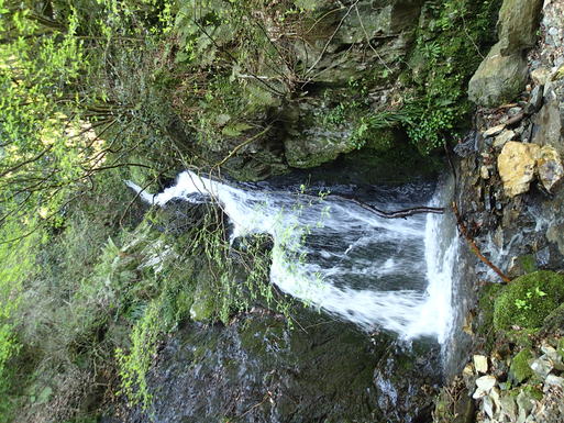 d0326888_02680.jpg