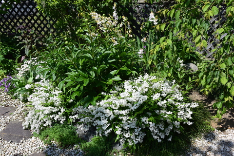 b0230589_2229151.jpg