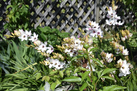b0230589_2264176.jpg