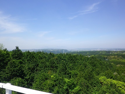 e0048994_10044812.jpg