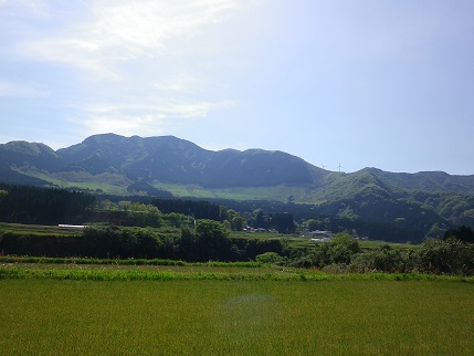 e0048994_11485494.jpg