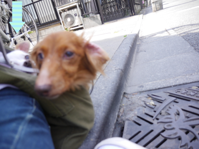 a0332203_18093914.png