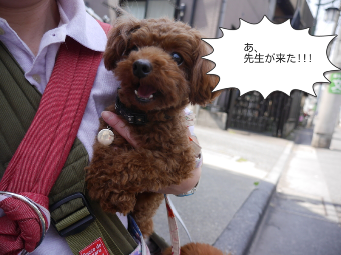 a0332203_18185913.png