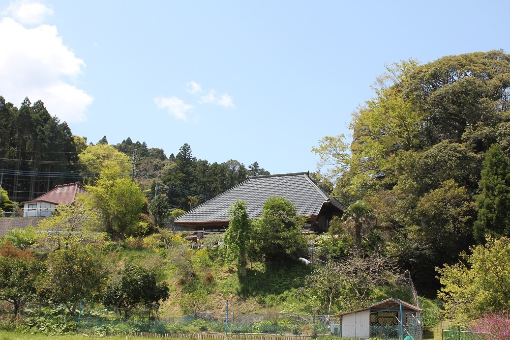 e0141203_13033691.jpg