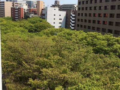 ゴールデンウィークの診療ですが、カレンダー通りです。_c0183104_12485517.jpg