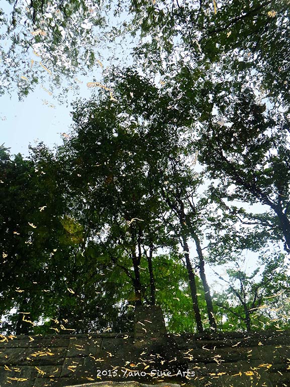 b0147808_1823163.jpg