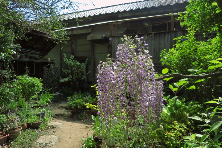 a0268412_22502523.jpg