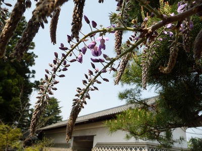 e0135219_10361163.jpg