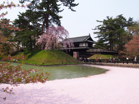 弘前公園の桜*2015.04.27_b0147224_20485879.jpg