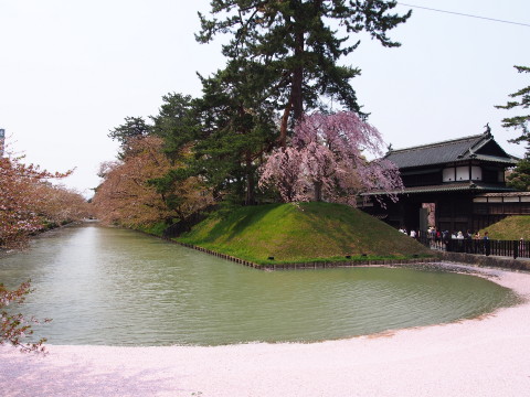 弘前公園の桜*2015.04.27_b0147224_2048883.jpg