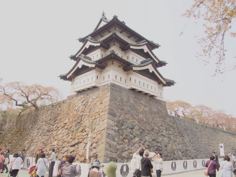 弘前公園の桜*2015.04.27_b0147224_20512211.jpg