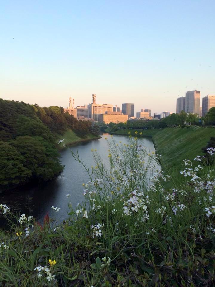 週末ラン♪_a0231828_00011133.jpg
