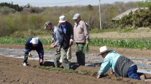 むすびin宮城　２０１５春－前編_e0035629_029676.jpg