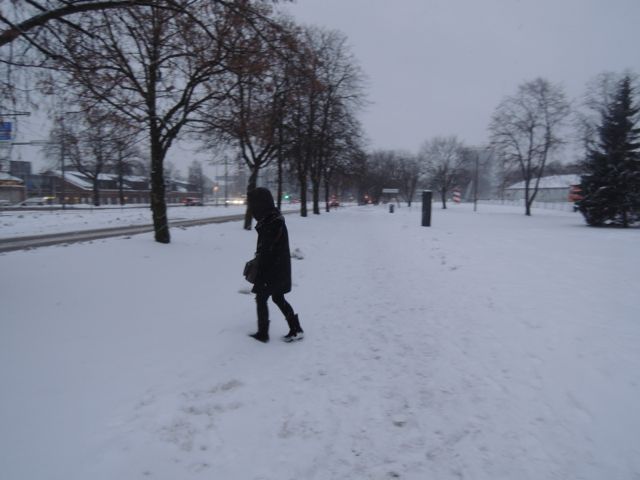 a0254130_16313631.jpg