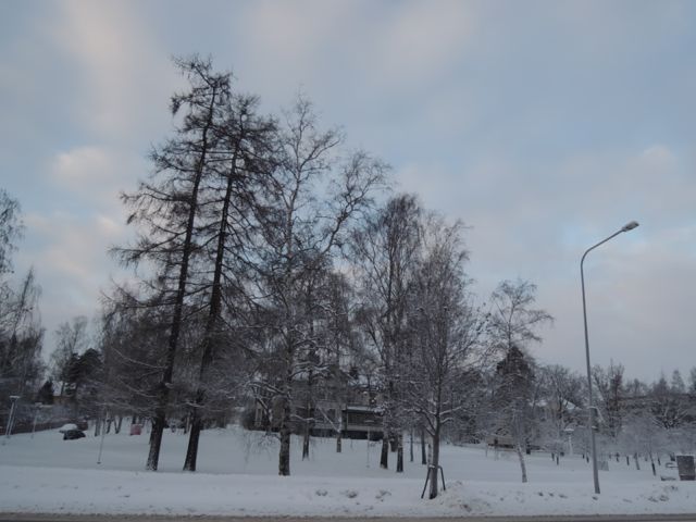 a0254130_16313831.jpg