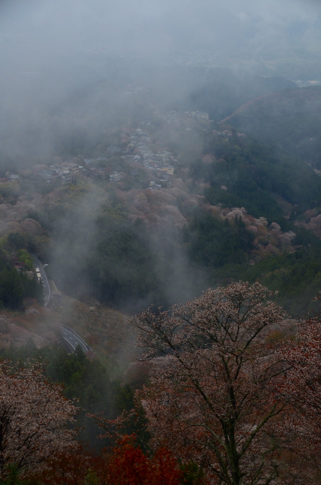 雨霧が晴れる_a0287533_23184922.jpg