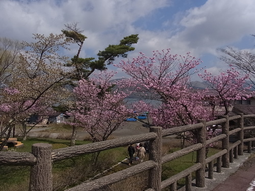 山中湖と５月講座募集のお知らせ_e0242839_11424494.jpg