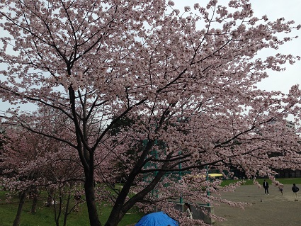 c0227640_7353210.jpg