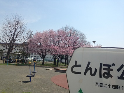 c0227640_7364240.jpg