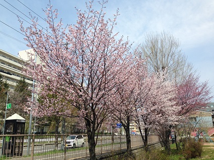 c0227640_7372557.jpg