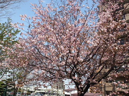 c0227640_743672.jpg