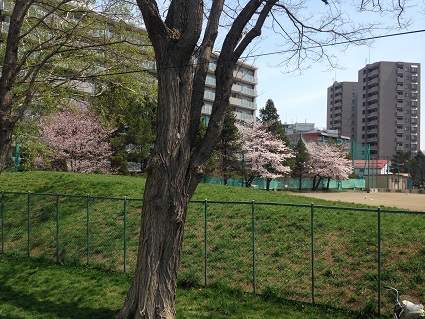 c0227640_7443416.jpg