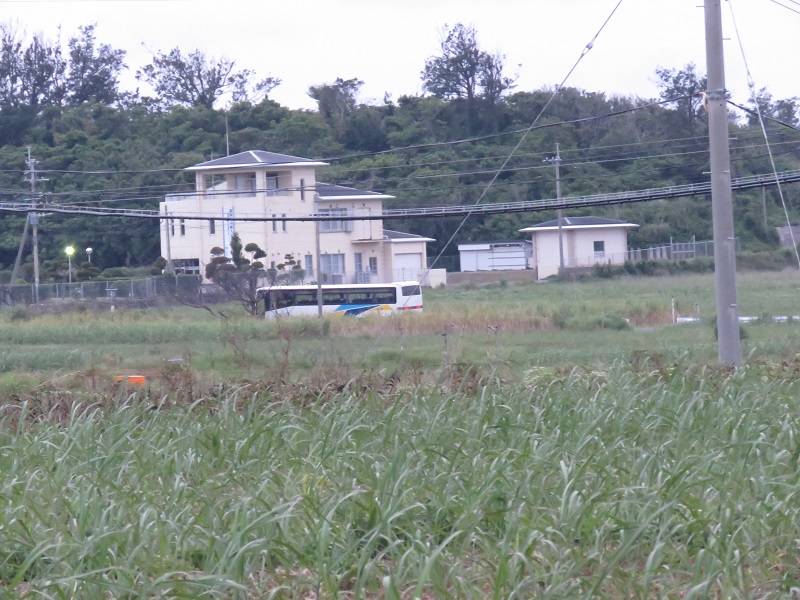 b0288942_8144210.jpg