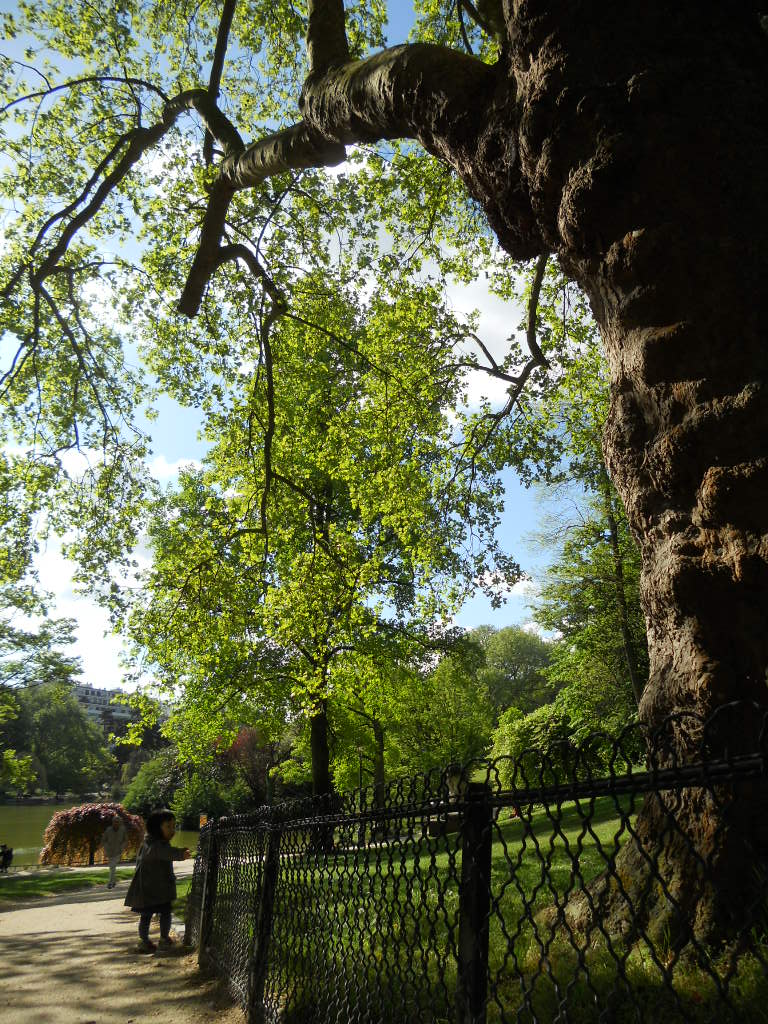 e0300042_20124828.jpg