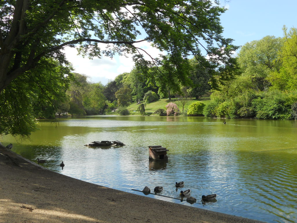 e0300042_20132676.jpg
