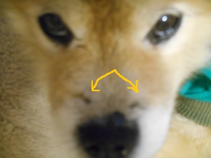 c0026843_21305813.jpg