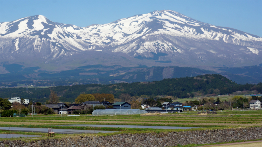 a0274944_20434913.jpg