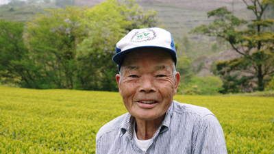 菊池水源茶 茶摘みまで寒冷紗をかけて濃い色に育て上げます!有機抹茶『雲上の白』_a0254656_1933632.jpg