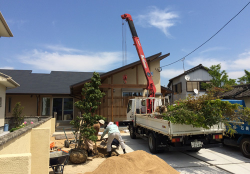 植栽は　住まいを豊かにします！！_d0082356_09164926.jpg