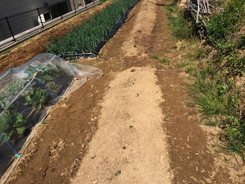 e0082956_66751.jpg