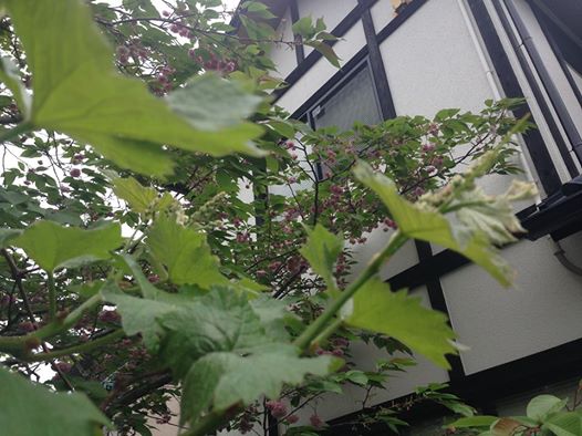 c0115560_10112315.jpg