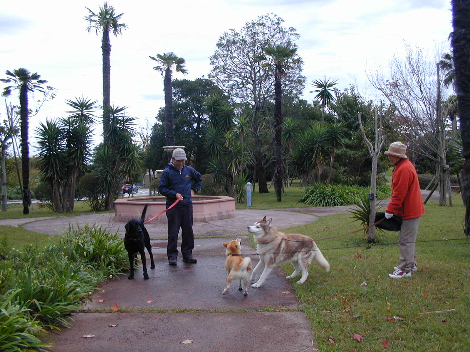 ’15,4,28(火)猫派ですか? 犬派ですか?_f0060461_81818100.jpg