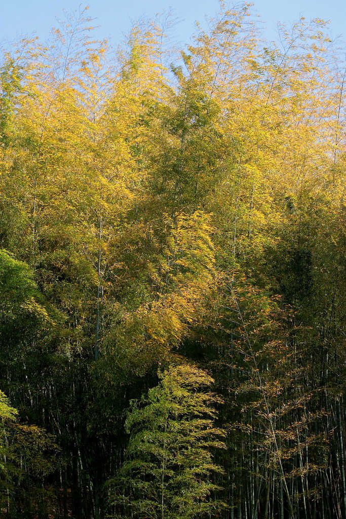 c0305565_18121357.jpg
