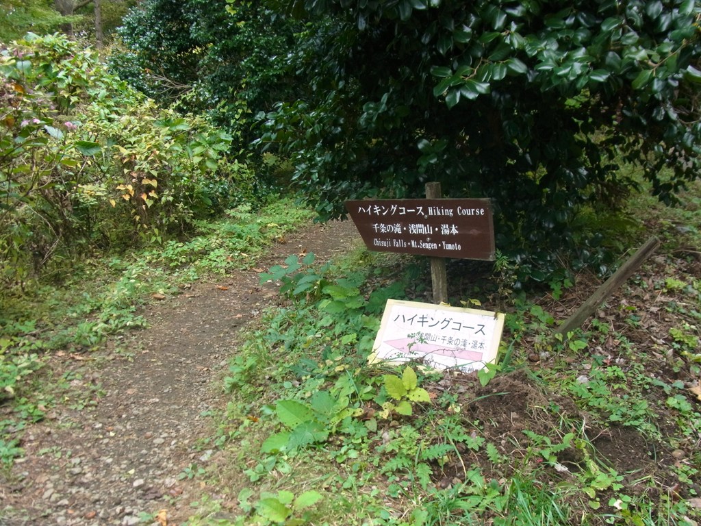 2014/10/27　湯坂山　城山　浅間山　鷹巣山　04_d0233770_5184315.jpg