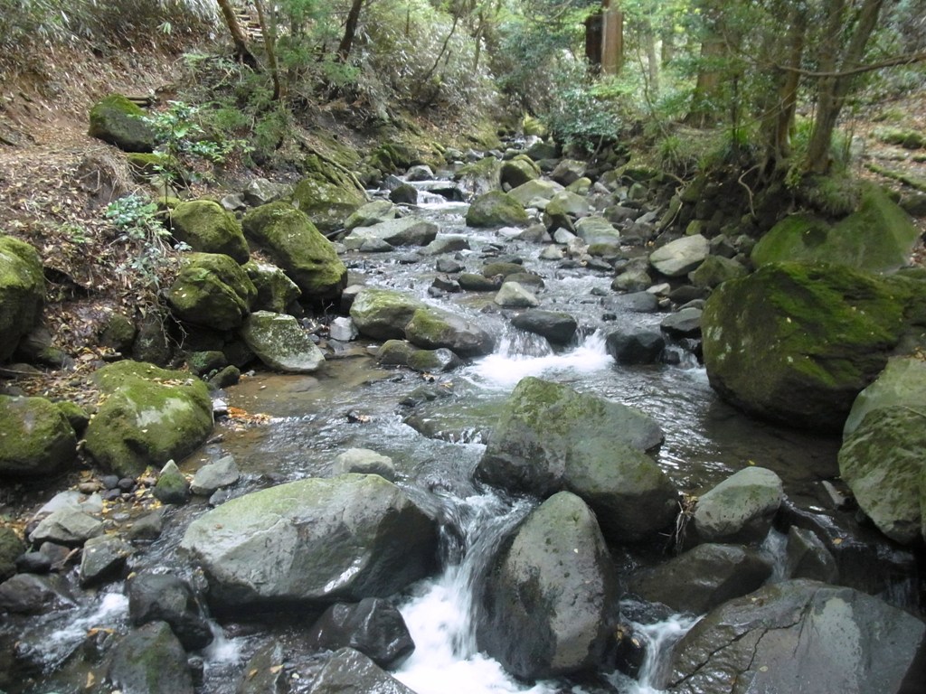 2014/10/27　湯坂山　城山　浅間山　鷹巣山　04_d0233770_523091.jpg