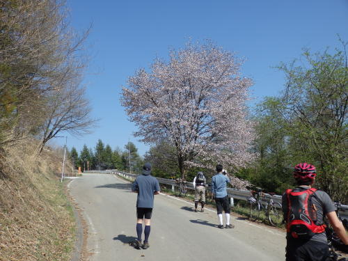 御荷鉾スーパー林道_b0334084_22435138.jpg