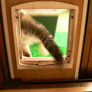 a0333195_08481245.png