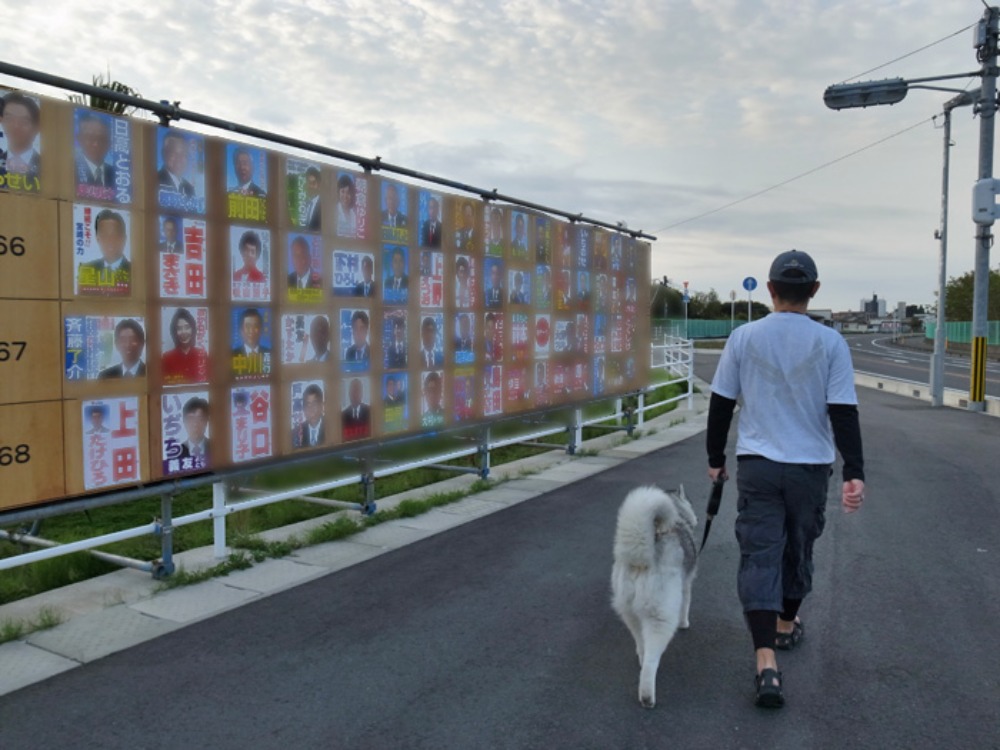ようやく静けさが戻ってきたよ~ (^o^)_c0049299_2246191.jpg