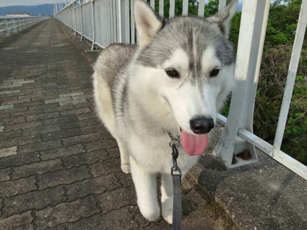 ようやく静けさが戻ってきたよ~ (^o^)_c0049299_2247623.jpg