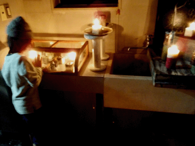 e0197500_16242977.gif