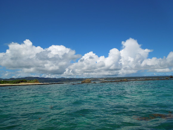 a0292602_232576.jpg