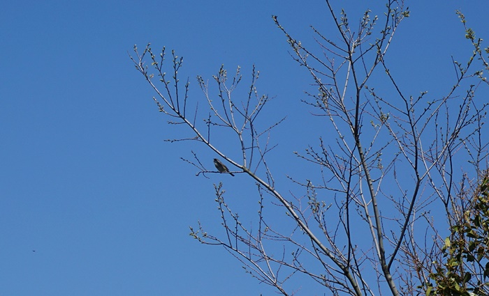 c0187503_205715.jpg